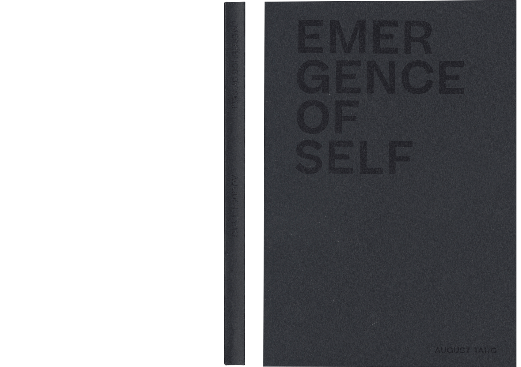 book cover titled "emergence of self"